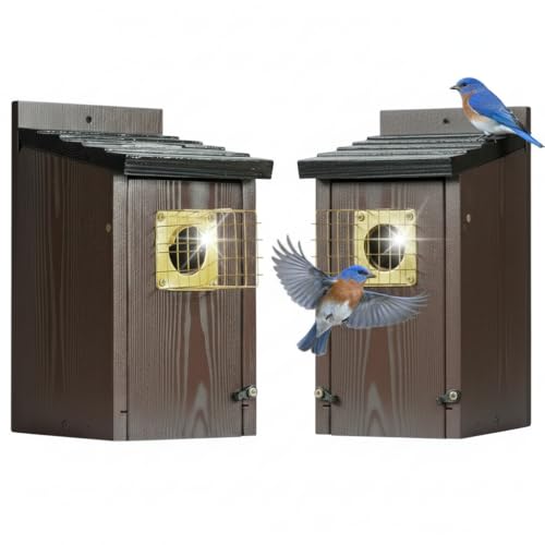 2pk Fortress Bluebird House for Outdoor Clearance - Mesh Cage Predator Guard - Metal Base & Brass Guard - Cedar Birdhouse for Bluebirds Finches Swallows Carbonized Outdoor 5 Years Usage 6x7