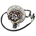 YX Stator 6 Coil Ignition Magneto Stator with Flywheel Rotor Kit for YX 140cc 150cc 160cc Pit Dirt Bike 5 Wire Copper Powersports Stators