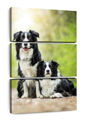 Toile Border Collie art mural 3 parties décoration séjour chaleureux