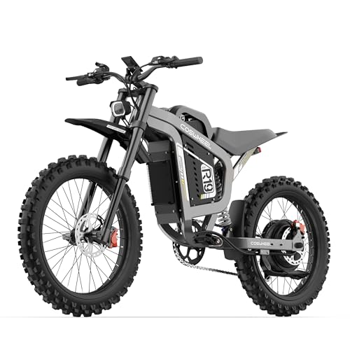 Zylvro R19 - Bicicleta eléctrica para hombre, moto eléctrica para adultos, con batería de 72 V y 40 Ah, neumático todoterreno de 19 pulgadas, frenos hidráulicos para motocross, hasta 200 km, 7
