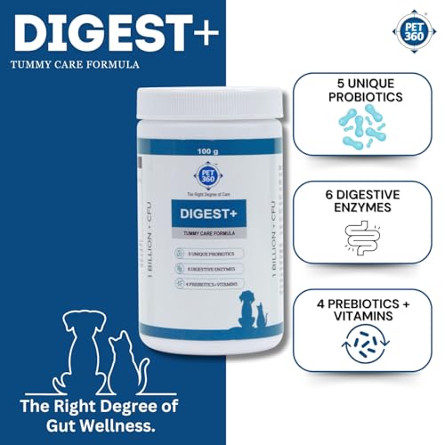 PET360 Digest+ Tummy Care Formula | Gut Health Supplement for Dogs & Cats | Probiotics, Prebiotics, Digestive Enzymes & Vitamins for Improved Digestion & Immunity | Suitable for All Breeds - 100 gm