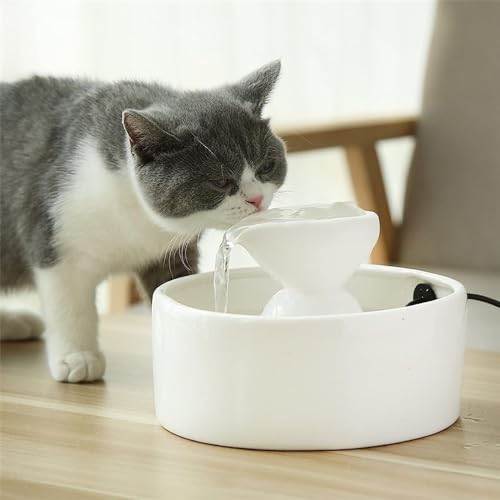 Fuente automática de agua para gatos cerámica REAGAR miniatura 5