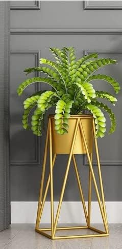 AMASS HANDICRAFTS® Plant Stand Wrought Iron Simplicity Plant Stand Indoor Outdoor Metal Flower Stand for Patio Balcony Living Room Garden Yard Bonsai Stand for Corner Small. (Gold) (B0BN6941GZ) Amazon Price History, Amazon Price Tracker