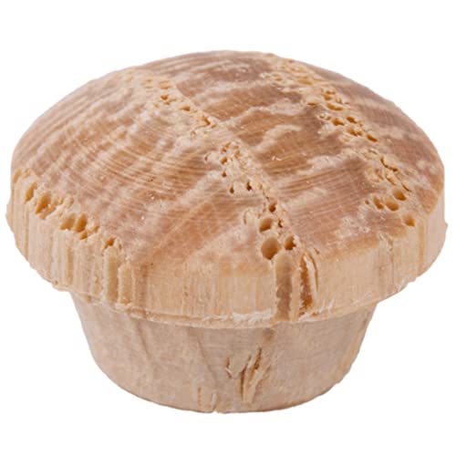 Image of Oak Screw Hole Plugs | 1 /4 inch Diameter | Pack of 50 Approx. | Turned End Grain Round Mushroom Head with Shoulders, Screw Hole Buttons, Furniture Grade | UA-057-OW
