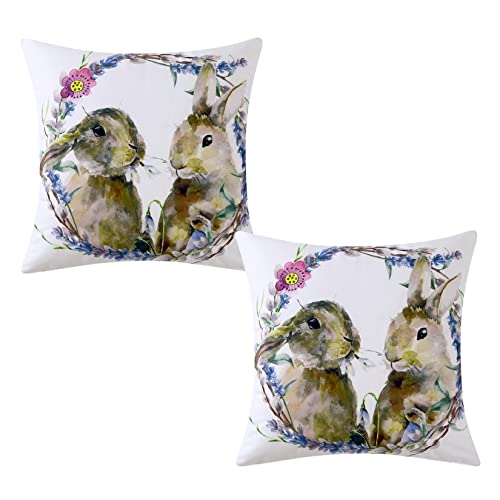 Hapterouse Kissenbezug Ostern Kissenbezüge 2 Stück Hasen Dekokissen 45x45cm Osterdeko Weicher Samt Kissenhülle Zierkissenbezüge für Wohnzimmer Schlafzimmer Restaurant Decor Cover