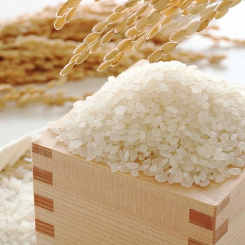 [令和7年産]果物屋さんが選んだ米 元気つくし 5kg