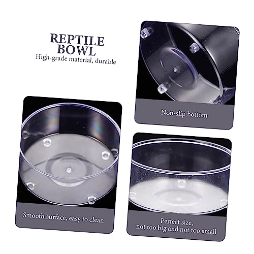 Gobelet transparent pour reptiles Yardwe antirenversement - 6