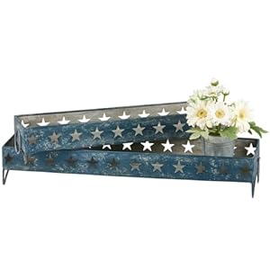 Patriotic Star Cutout Trays Set of 2 BlueWhite
