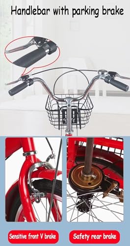 Triciclo para Adultos 20inch con Asiento Trasero miniatura 6