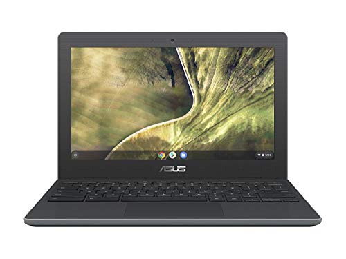 ASUS Chromebook C204MA - Laptop 32GB, 4GB RAM, Gris