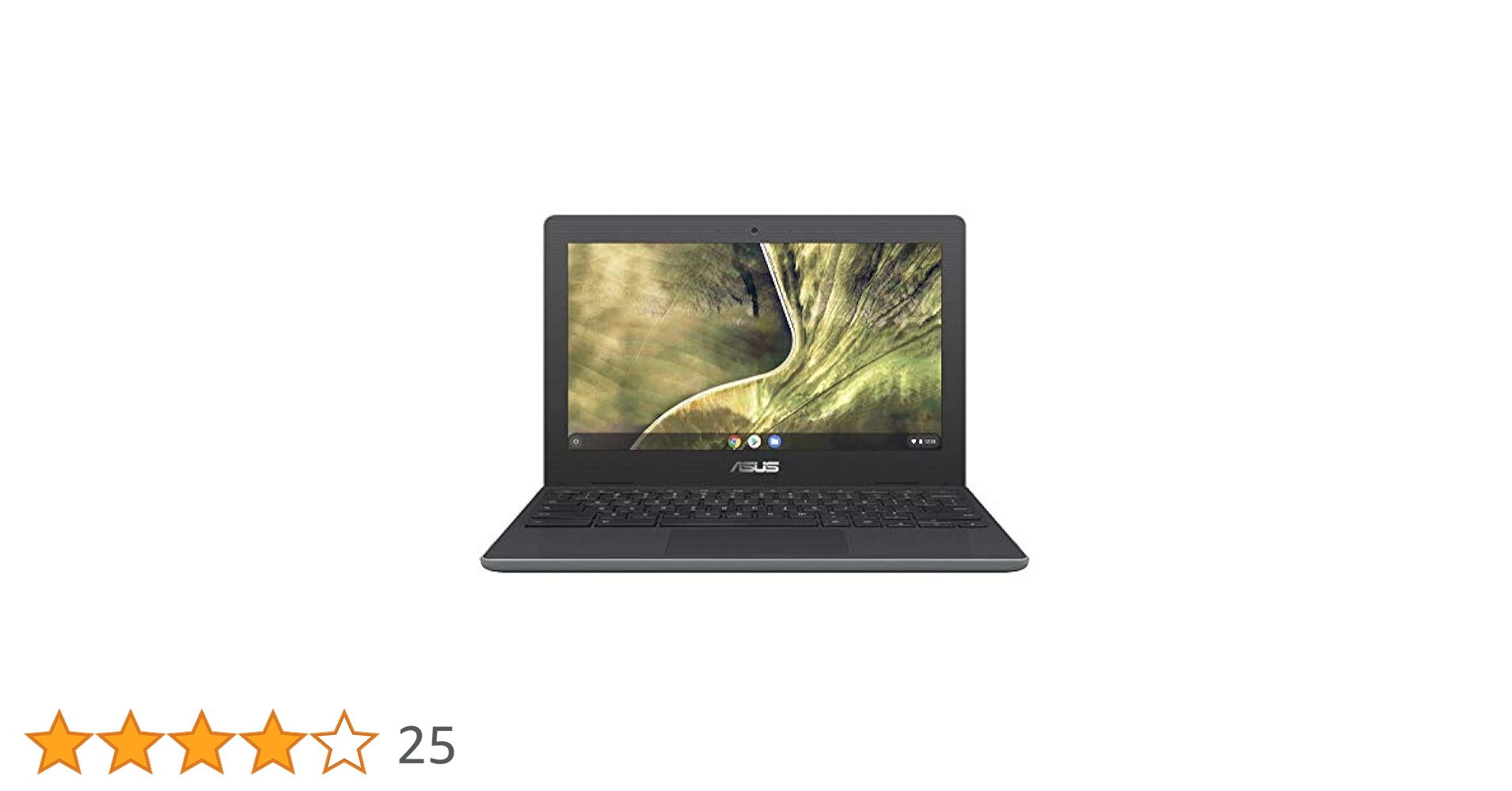 ASUS Chromebook C204MA - Laptop 32GB, 4GB RAM, Grey : Amazon