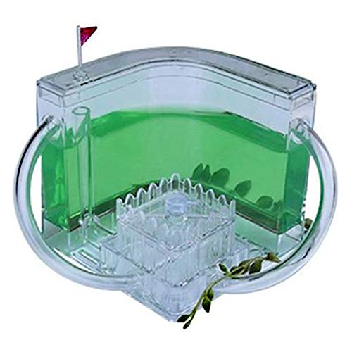 Ant Home Formicarium Educativo Reloj Las Hormigas Cavan Sus...