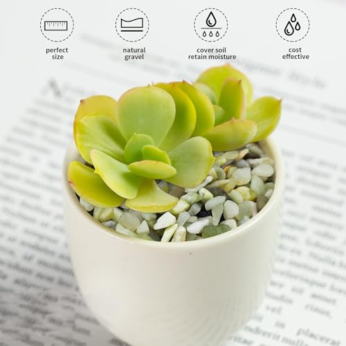 Image of FANTIAN 2 lbs Jade Rocks for Plants Indoor, 1 /4 inch Small Pebbles for Plants, Decorative Rocks for Succulents Cactus Vases Landscaping Drainage and Outdoor Garden Rocks