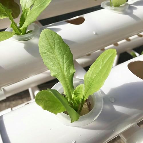 Système de culture hydroponique en PVC avec 108 trous pour jardin potager intérieur et extérieur - Idéal pour la culture de tomates, basilic, poivre, concombre