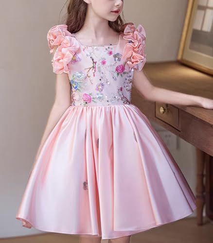Pageant Dresses for Girls Flying Sleeve Pink Puffy Dress Embroidered Lace Flower Girl Wedding Ball Gown2