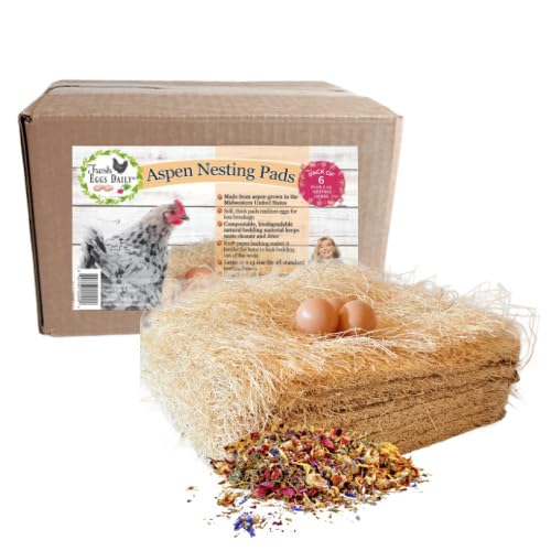 Fresh Eggs Daily Almofadas de ninho de galinha Aspen natural para galinhas poedeiras grandes 33 x 33