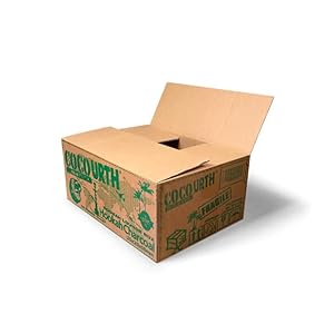 Natural Hookah Coconut Shell Charcoal Flat 25x25x18mm 960 PCS Electric Burner Briquettes Used Also for Cooking, Grilling, Barbecuing, Incense Narguile Coal (10kg)