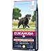 Eukanuba Hundefutter mit frischem Huhn für große Rassen, Premium Trockenfutter für Senior Hunde, 15 kg
