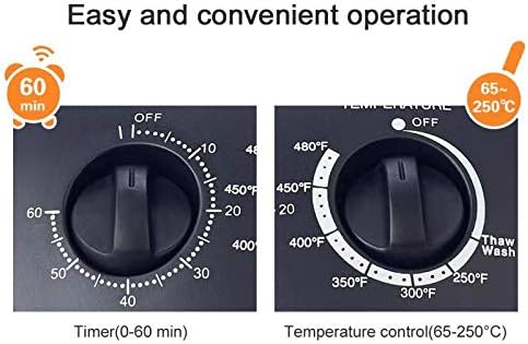 Close-up of the oven's control panel showing the Timer dial (0-60 min) and Temperature Control dial (65-250°C / 250-480°F).
