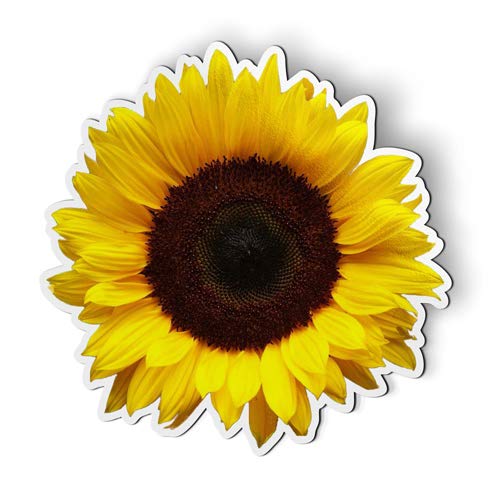 Ak Wall Art Sunflower - Magnet - Car Fridge Locker - Select Size #TOP3