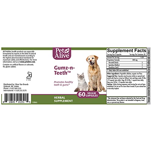 Petalive Gumz-N-Teeth - All Natural Herbal Supplement For Healthy Teeth And Gums In Cats And Dogs - Supports Oral Health In Pets - 60 Veggie Caps #TOP4