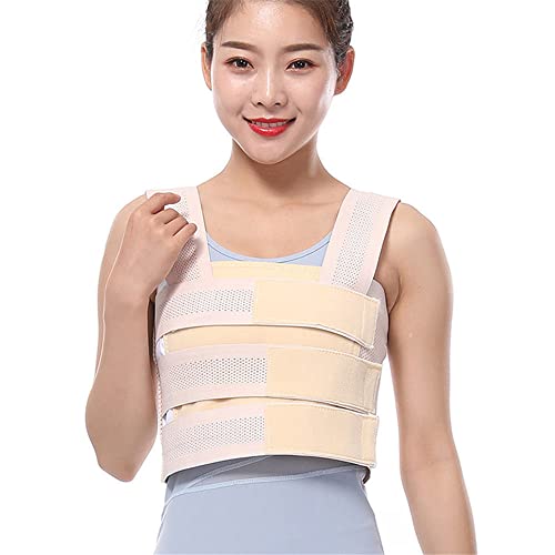 Saiying T|[^[  ی ɃT|[gxg  T|[^[ ] ΂獜  oXg   AVXg ×p (L,E)