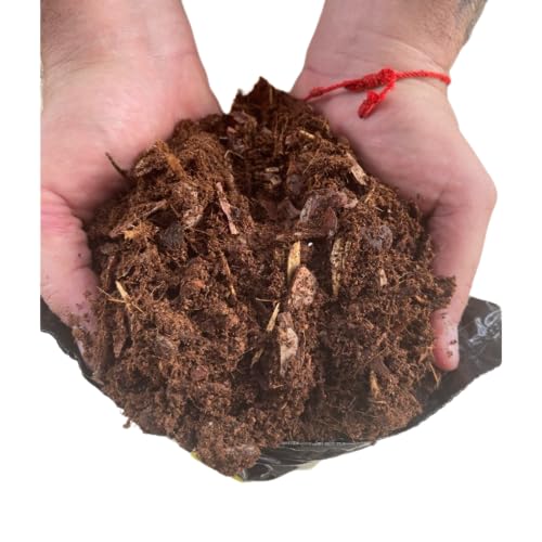 Corteza de Pino para Orquídeas 5 Litros de Sustrato Especial para Flores Tropicales