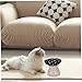 SEWOART Cute Elevated Cat Bowl Ceramic Mushroom Shaped Dish for Food Water Shallow Wide Design for Comfortable Feeding Stable Base for All Cats Small Dogs