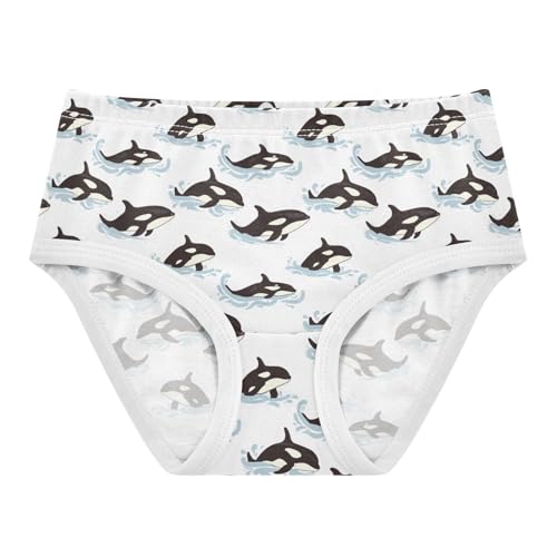 Girls Underwear Soft Cotton Killer Whale Kids Panties in Sizes 2/3t, 4t, 5t, 6 and 8