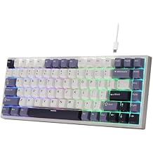 RK ROYAL KLUDGE C84 HE Rapid Trigger Gaming Keyboard, 75% TKL Wired RGB Mechanical Keyboard, Hall Effect Magnetic Switch Keyboard w/Actuation Point Adjustable, 8K Hz Polling Rate, for FPS Gamer