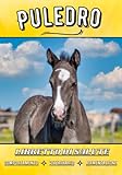 puledro in vendita  Libretto di salute Puledro: Sanitario quotidiano del mio puledro  Monitoraggio del comportamento, dell\'alimentazione, delle cure veterinarie e mediche  Ideale per proprietari e bambini 