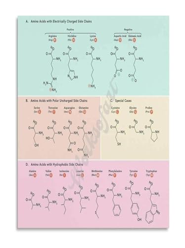 The Genetic Code Poster Amino Acids and Codons Chart Biology Educational Wall Art for Students Home Study(Unframed,12x18inch(30x