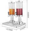Beer Dispenser for Home Beverage Dispenser Stainless Steel Double Bowl of Fruit Juice Vending Machine 6L Drink Orange Juice Commercial Beverage Machine Spray Juice Ding