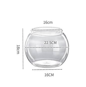 アクリル水槽　orange様 楽天市場】120×60×45(H) アクリル水槽（8t） : 熱帯魚のmishima