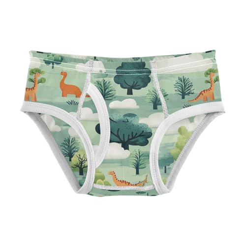 Wusikd Dinosaurs Boys' Underwear Cotton Clouds Tree Boys Briefs Soft Toddler Underwear 2T