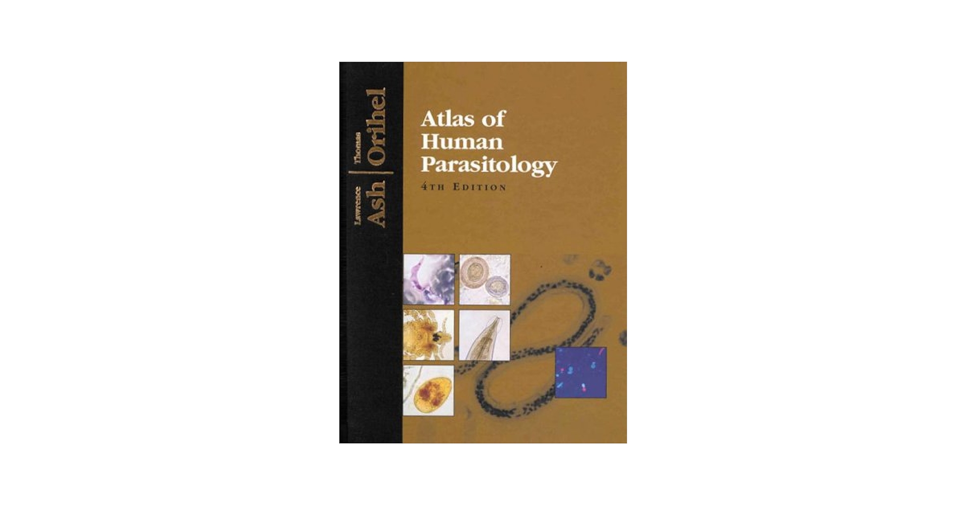 Human biology   ヒューマンバイオロジー　17th edition Exploring The Unity of Organisms Biology 1 Laboratory Manual