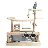 NAPURAL Parrots Playstand Bird Playground Wood Perch Gym Stand Playpen Ladder with Toys Exercise Pla