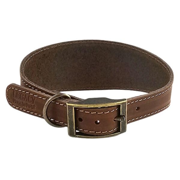 HugglePets Leather Greyhound Whippet Lurcher Dog Collar (Tan, Small)