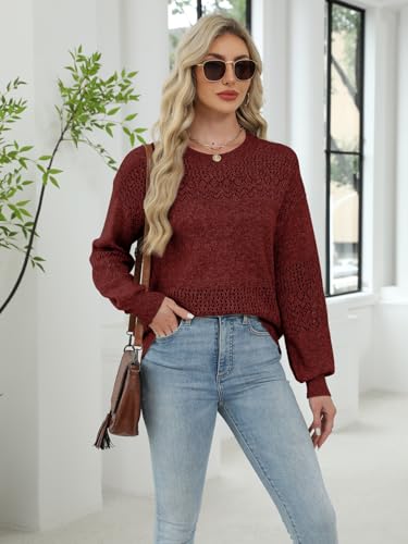 Image of Lylinan Womens Sweaters Casual Boho Long Sleeve Shirts Crewneck Lightweight Crochet Tops Pullover Knit Sweater
