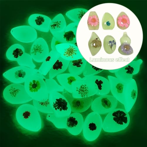 18 Stück Pflanzen-Bernsteinfossilien, Bernsteinfossil-Anhänger, verschiedene Pflanzenexemplare, in Harz konservierte Pflanzen, wissenschaftliche Sammlung und Dekoration – zufällige Muster