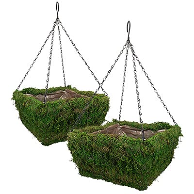 Panacea 83557 Natural Moss Square Hanging Baskets, Green, 14"L, Pack Of 2 #TOP28