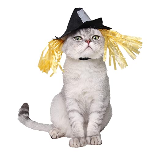 Disfraz Sombrero Espantapájaros Halloween para Perro miniatura 3