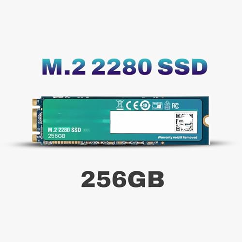 Image of 256GB M.2 2280 SATA III Internal SSD | 6Gb /s Solid State Drive | Up to 550MB /s Read Speed | Laptop & Desktop Compatible| 1-Year Warranty