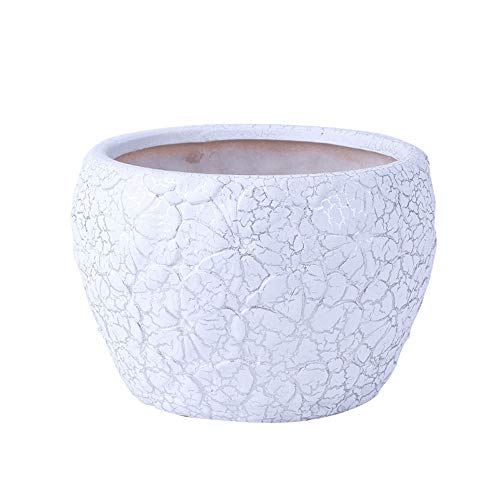 Pots de fleurs en céramique pour succulente évitant la stagnation de l'eau