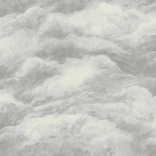Image of Cloud Weave Silver Grey Wallpaper - Luxury Heavyweight Vinyl - Modern Contemporary Feature Wall