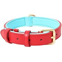 HEELE Collar Perro, Collar de Perro Acolchado de Cuero, Collar Suave en Cuero Genuino, Perros Pequeños, Medianos y Grandes, Rojo, M