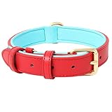 Collar de Perro de Aalta Calidad: collar de perro ideal para la vida cotidiana o actividades deportivas. Ligero pero duradero, bueno para todas las condiciones.