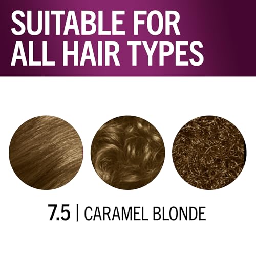 Schwarzkopf Keratin Permanent Hair Dye Cream, 7.5 Caramel Blonde, Professional Quality Color for Up to 100% Gray Coverage, Bond Enforcing System