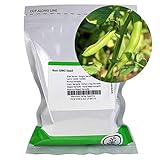 Broad Windsor Fava Bean Seeds - 1 Lb ~280 Seeds - Non-GMO, Heirloom - Vegetable Garden Seeds - Vicia faba