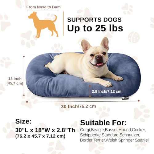 Image of Washable Oval Dog Bed for Medium Dogs, High-Resilience,Dusty Blue | Non-Slip Bottom Prevents Sliding, Soft Plush Short Fur, Machine Washable, Ideal for Crates /Apartments /Cozy Nooks,29 inchx18 inchx2.8 inch